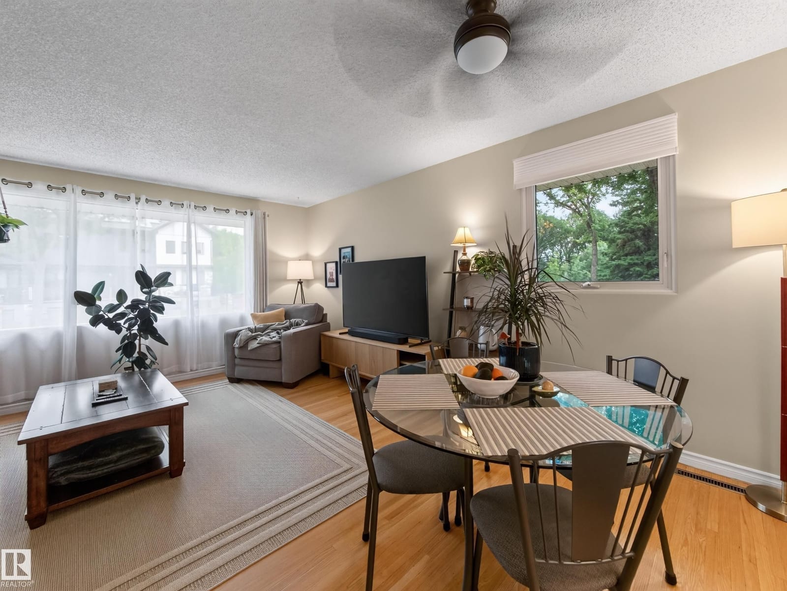 Open-plan living and dining