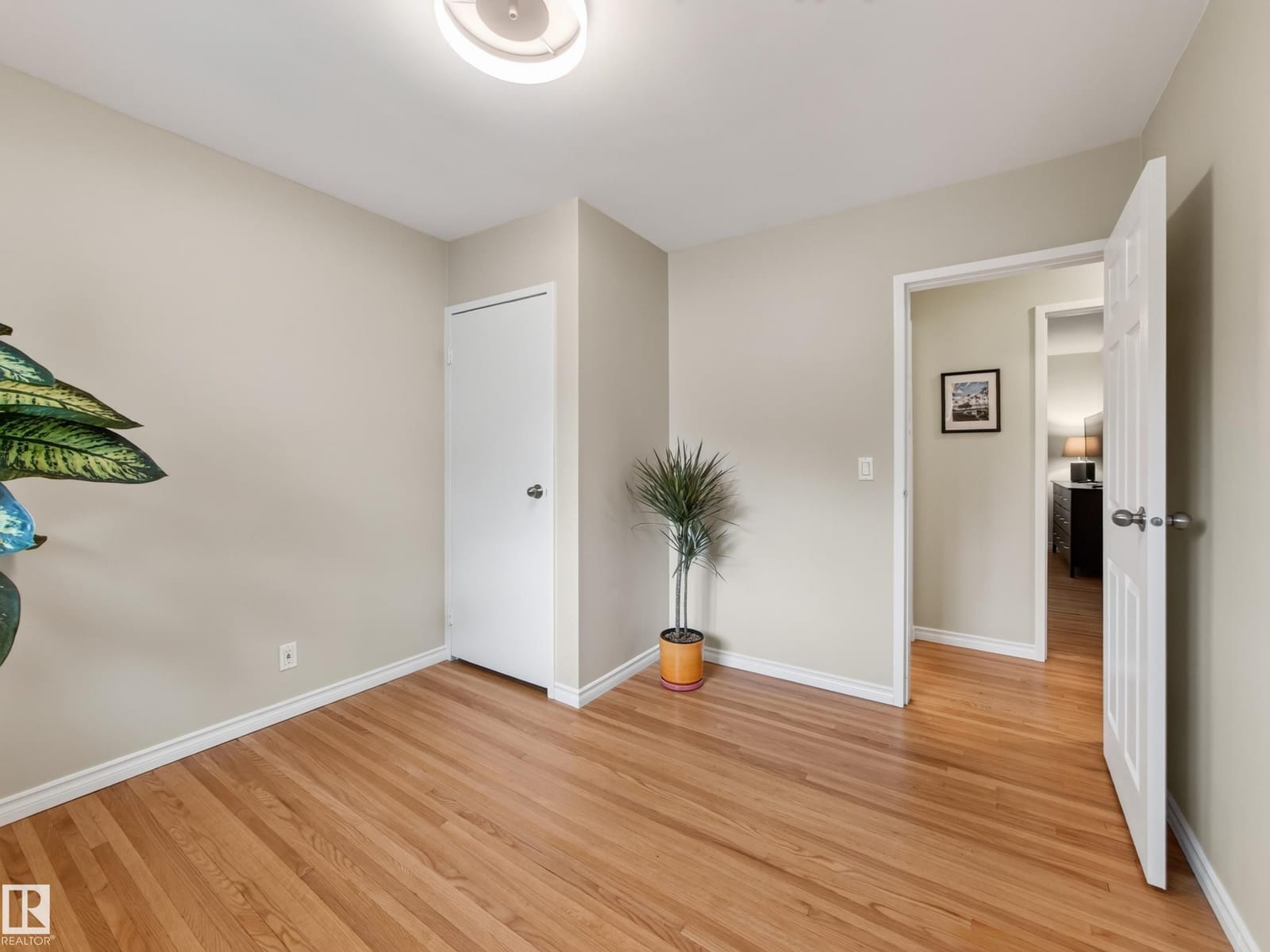 Bedroom with hardwood floors