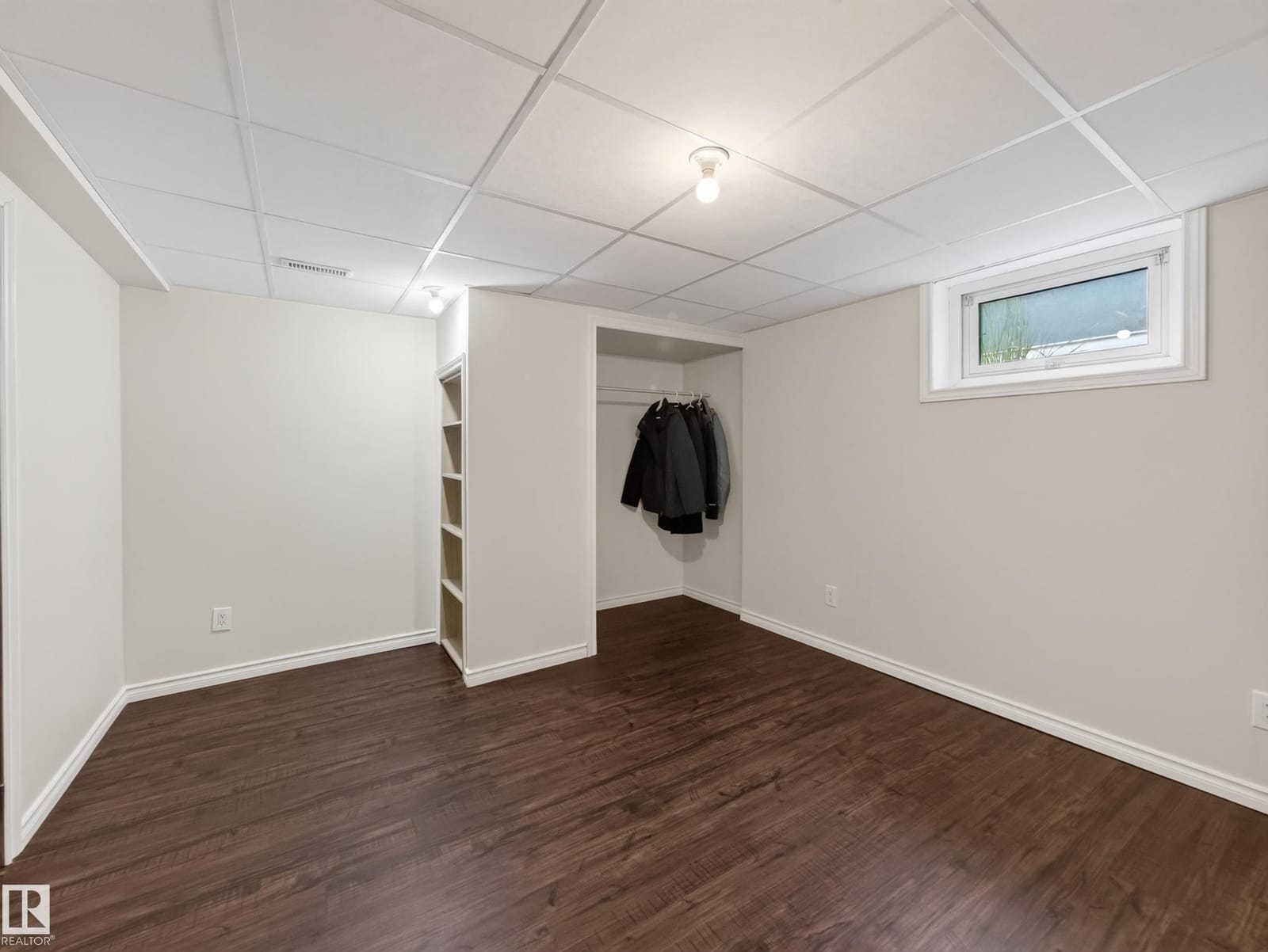 Lower level room with closet and window