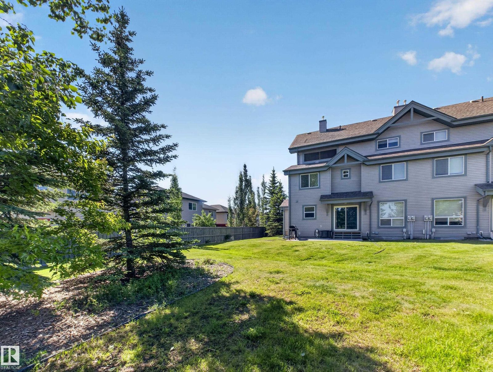Back lawn with mature spruce and the rear of the row