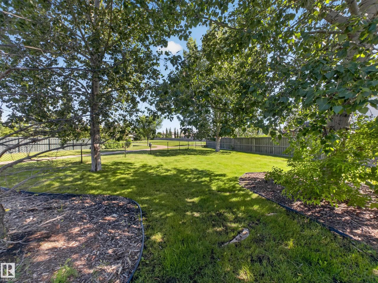 Back yard under mature trees, fence line to the park beyond