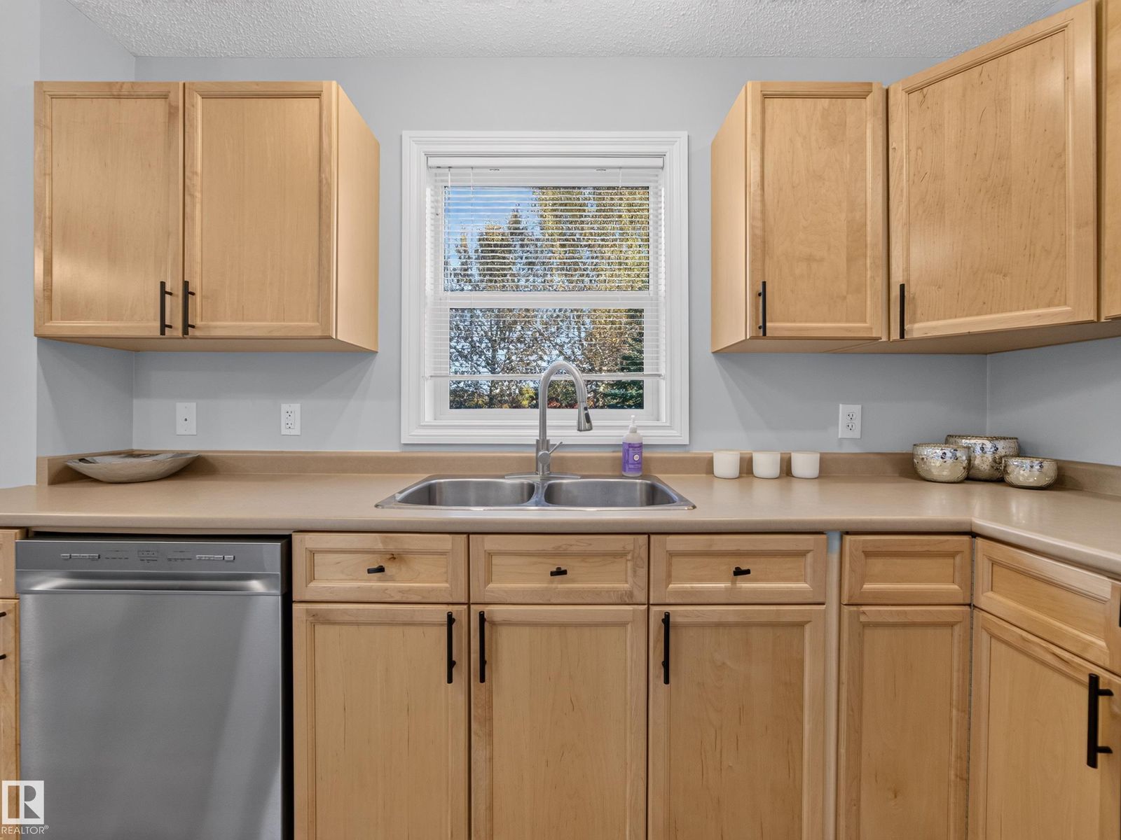 Kitchen sink wall with dishwasher