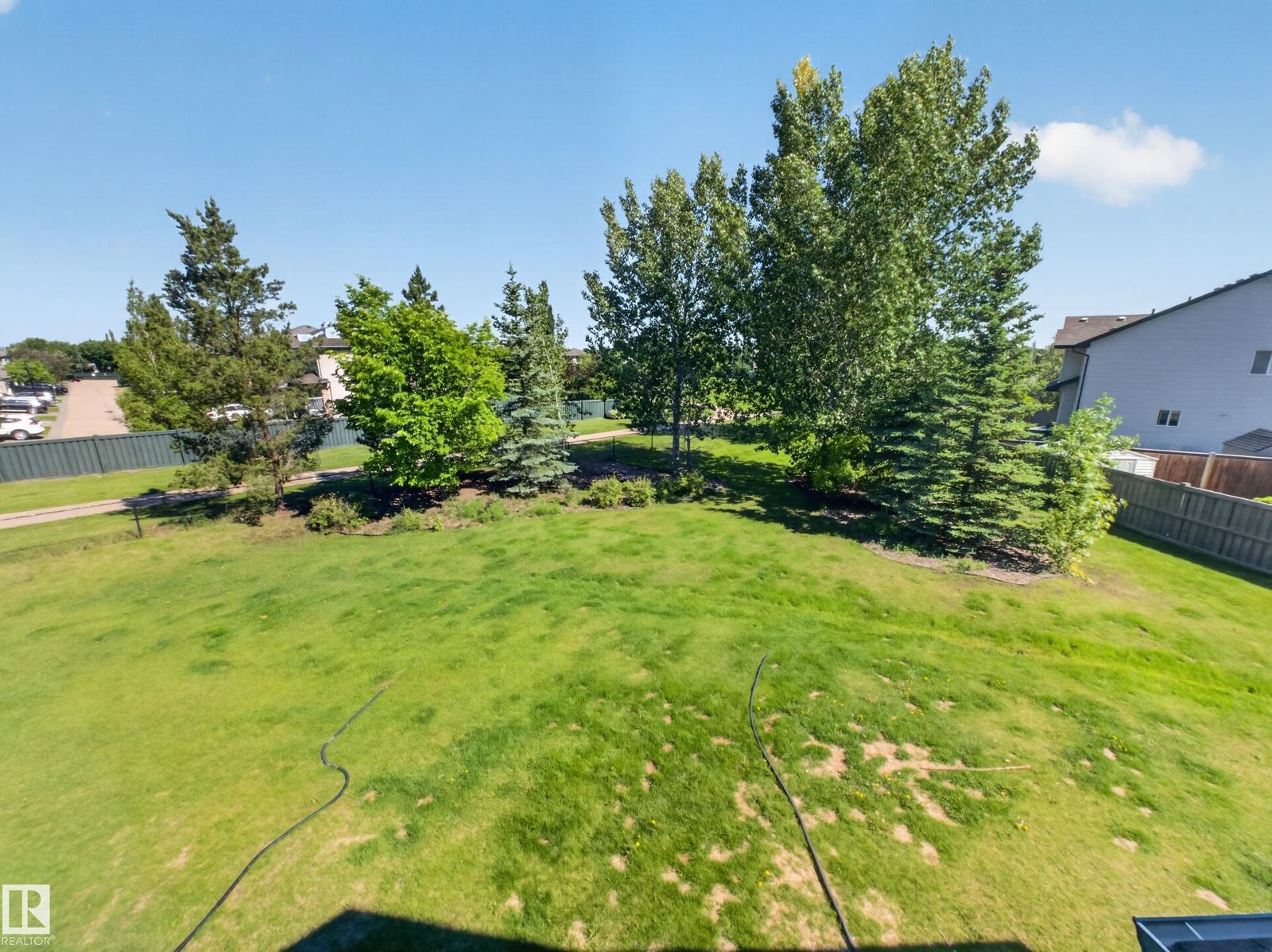 Back yard lawn and trees