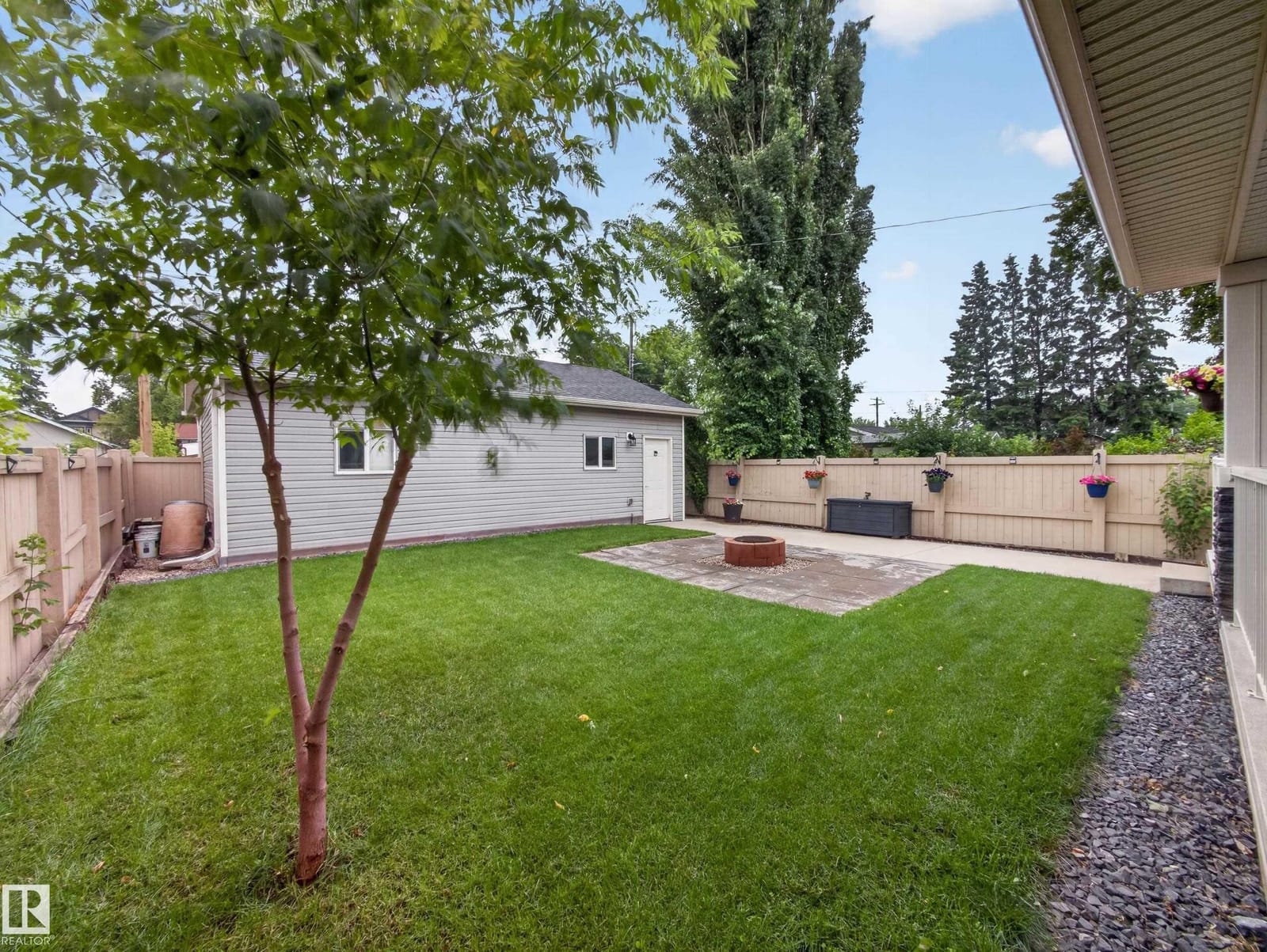 Back lawn with mature tree and walkway